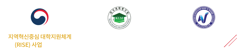 지역혁신중심 대학지원체계(RISE) 사업 선정대학/ 기관평가인증 대학/간호교육인증 대학